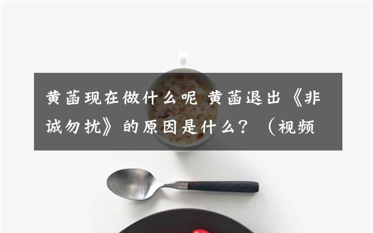 黄菡现在做什么呢 黄菡退出《非诚勿扰》的原因是什么？（视频）