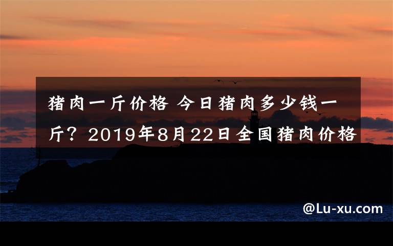 猪肉一斤价格 今日猪肉多少钱一斤？2019年8月22日全国猪肉价格行情