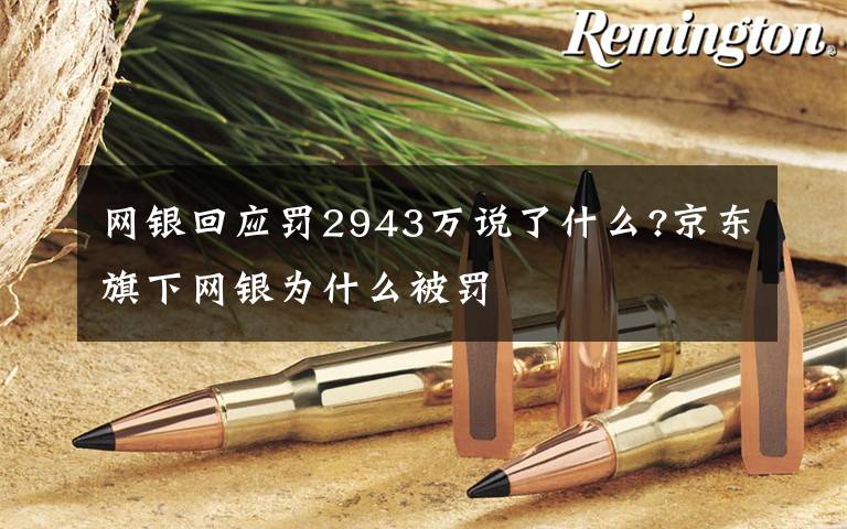 网银回应罚2943万说了什么?京东旗下网银为什么被罚