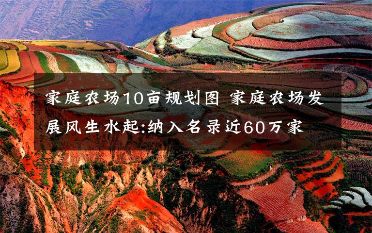 家庭农场10亩规划图 家庭农场发展风生水起:纳入名录近60万家 经营土地1.6亿亩