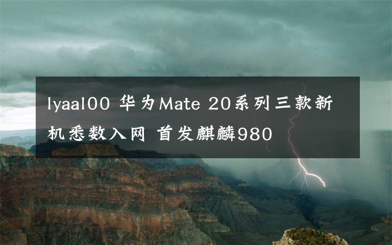 lyaal00 华为Mate 20系列三款新机悉数入网 首发麒麟980