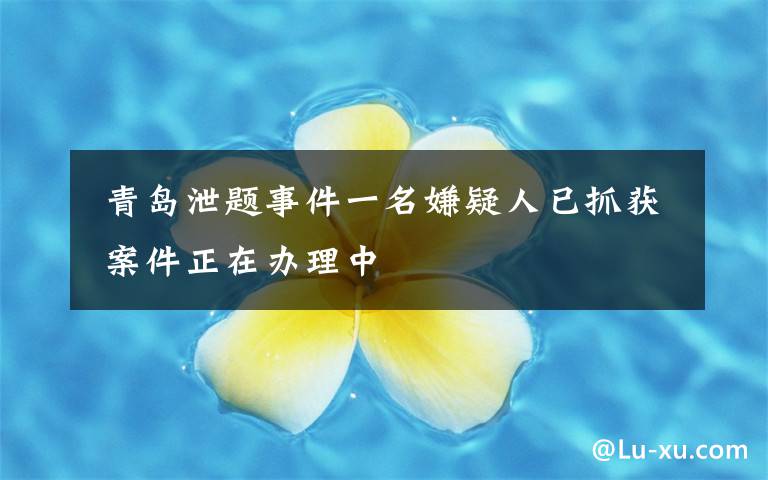  青岛泄题事件一名嫌疑人已抓获 案件正在办理中