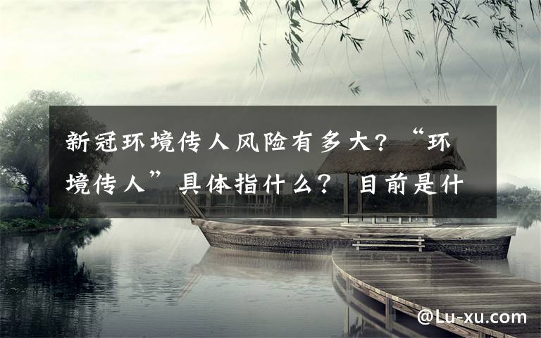 新冠环境传人风险有多大? “环境传人”具体指什么？ 目前是什么情况？