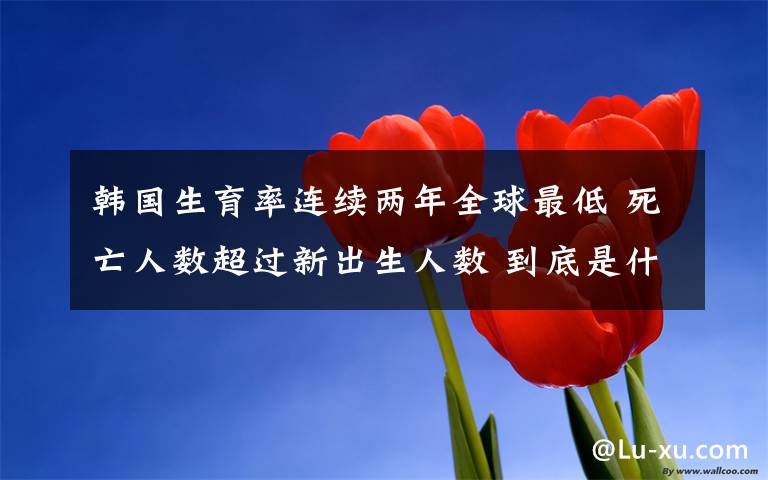 韩国生育率连续两年全球最低 死亡人数超过新出生人数 到底是什么状况？