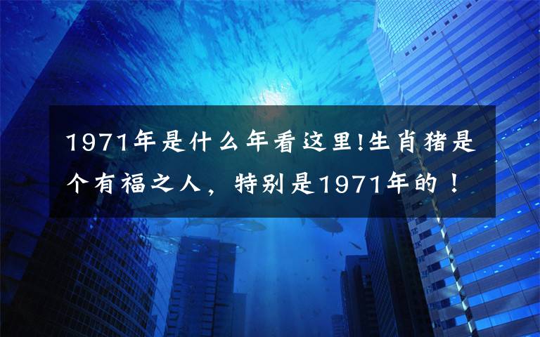 1971年是什么年看这里!生肖猪是个有福之人，特别是1971年的！