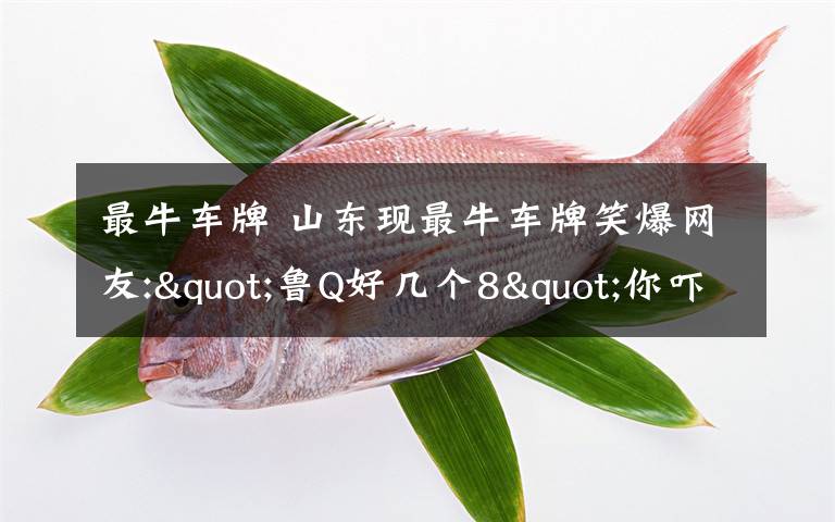 最牛车牌 山东现最牛车牌笑爆网友:"鲁Q好几个8"你吓到了我的智商