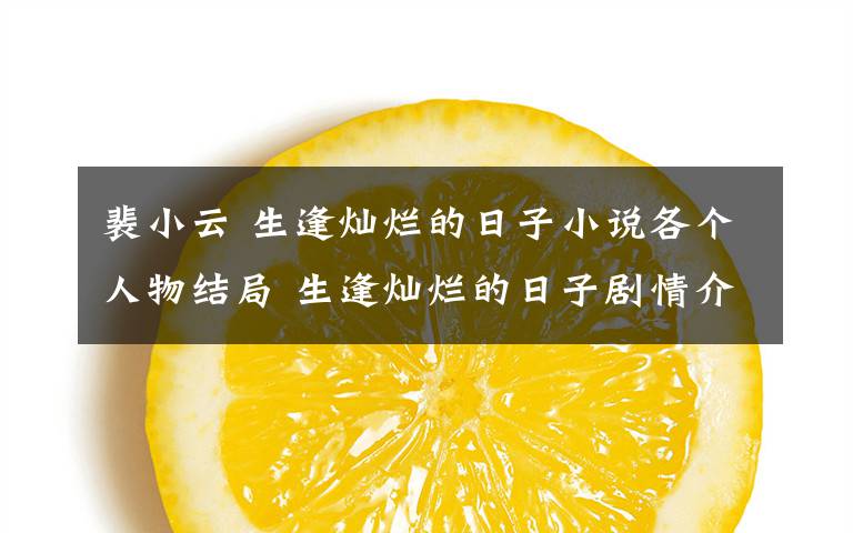 裴小云 生逢灿烂的日子小说各个人物结局 生逢灿烂的日子剧情介绍