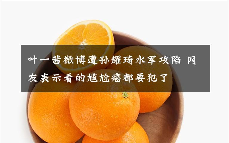 叶一茜微博遭孙耀琦水军攻陷 网友表示看的尴尬癌都要犯了