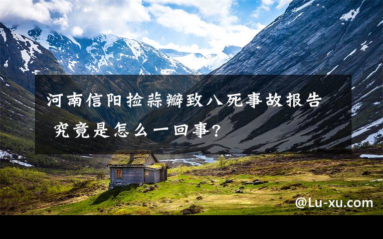 河南信阳捡蒜瓣致八死事故报告 究竟是怎么一回事?