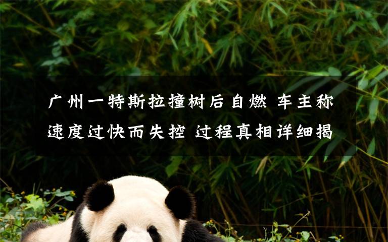 广州一特斯拉撞树后自燃 车主称速度过快而失控 过程真相详细揭秘！