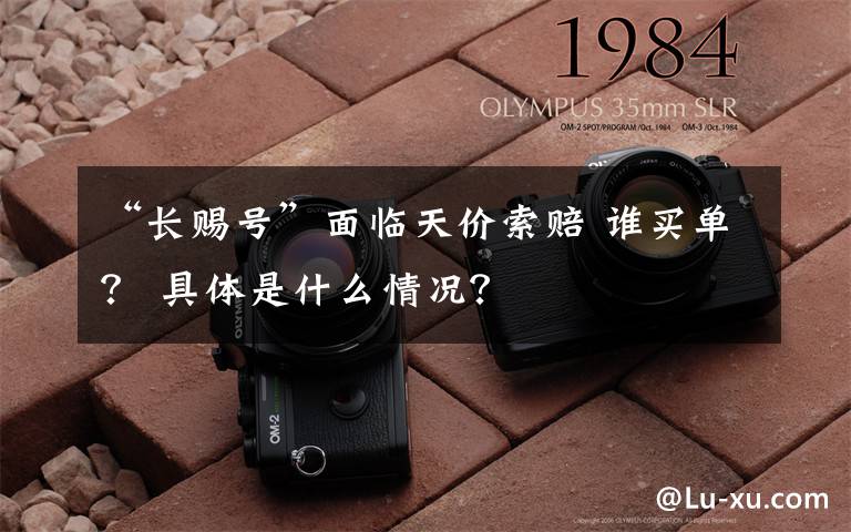 “长赐号”面临天价索赔 谁买单？ 具体是什么情况？