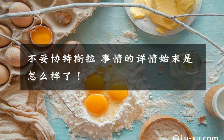不妥协特斯拉 事情的详情始末是怎么样了！