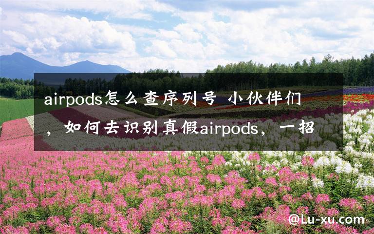 airpods怎么查序列号 小伙伴们，如何去识别真假airpods，一招教你识别真假悟空