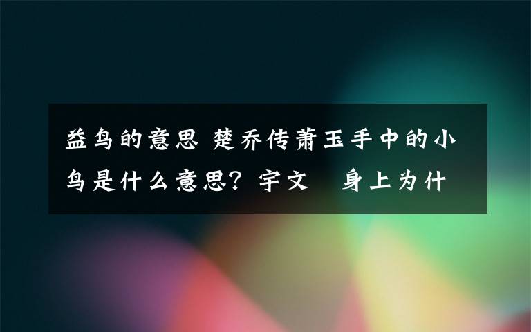 益鸟的意思 楚乔传萧玉手中的小鸟是什么意思？宇文玥身上为什么带着小木鸟