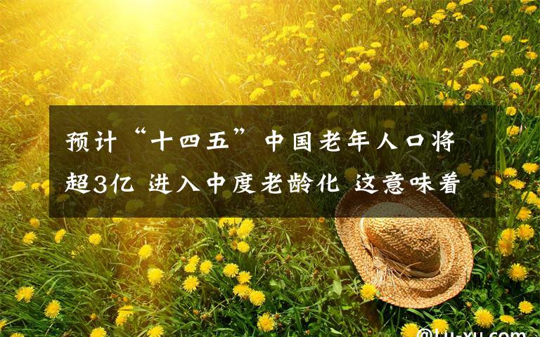 预计“十四五”中国老年人口将超3亿 进入中度老龄化 这意味着什么?