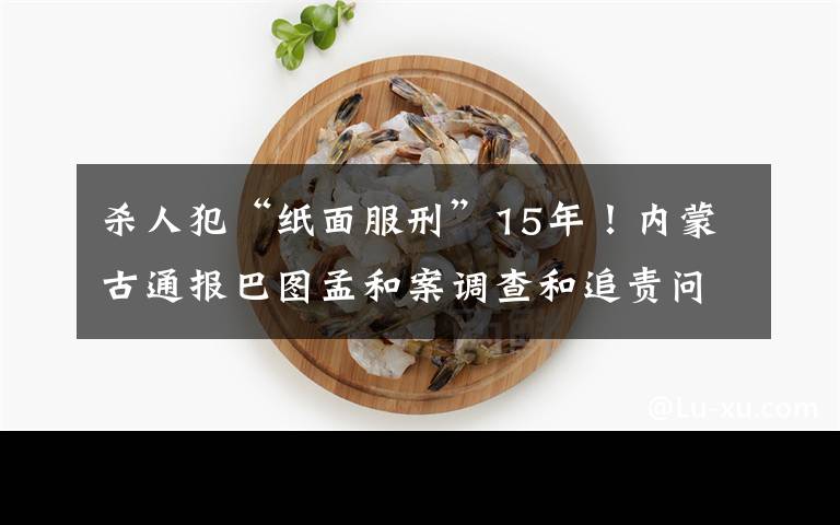 杀人犯“纸面服刑”15年！内蒙古通报巴图孟和案调查和追责问责情况