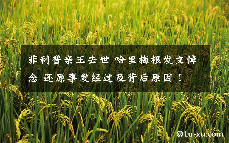 菲利普亲王去世 哈里梅根发文悼念 还原事发经过及背后原因！