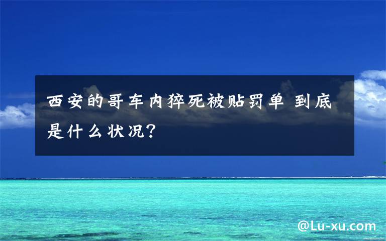 西安的哥车内猝死被贴罚单 到底是什么状况？