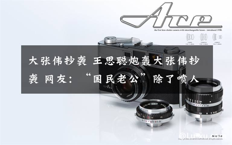 大张伟抄袭 王思聪炮轰大张伟抄袭 网友：“国民老公”除了喷人还会做啥
