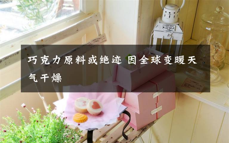 巧克力原料或绝迹 因全球变暖天气干燥