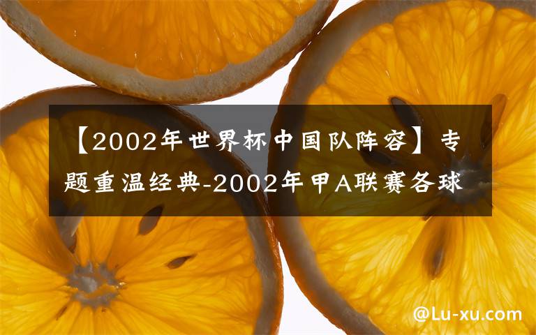 【2002年世界杯中国队阵容】专题重温经典-2002年甲A联赛各球队主力名单2