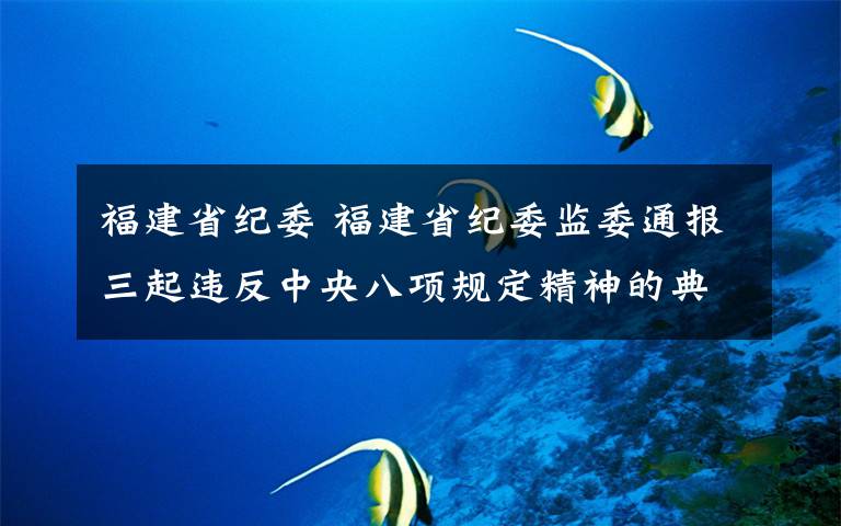 福建省纪委 福建省纪委监委通报三起违反中央八项规定精神的典型问题