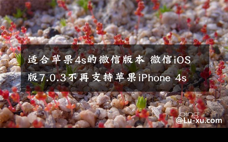 适合苹果4s的微信版本 微信iOS版7.0.3不再支持苹果iPhone 4s/5/5c手机