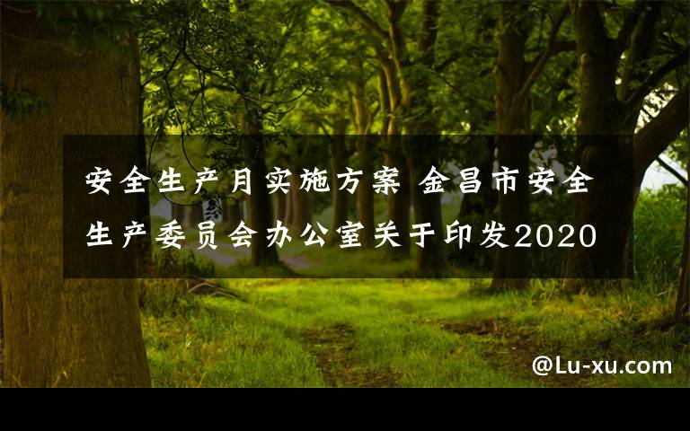 安全生产月实施方案 金昌市安全生产委员会办公室关于印发2020年“安全生产月”和“安全生产陇原行”活动实施方案的通知