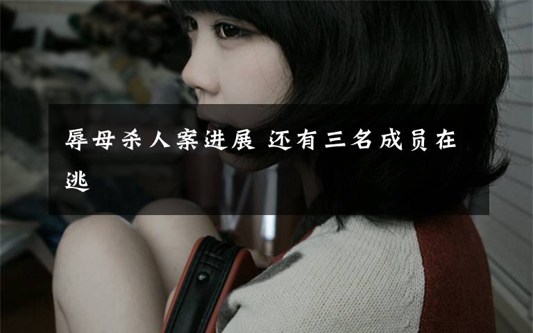 辱母杀人案进展 还有三名成员在逃