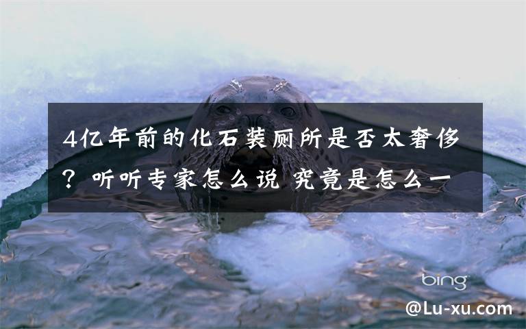 4亿年前的化石装厕所是否太奢侈？听听专家怎么说 究竟是怎么一回事?