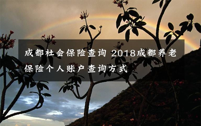 成都社会保险查询 2018成都养老保险个人账户查询方式