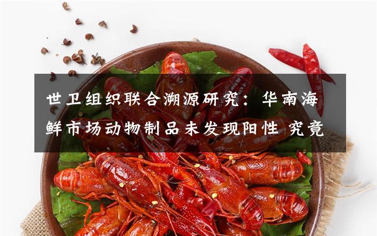 世卫组织联合溯源研究：华南海鲜市场动物制品未发现阳性 究竟是怎么一回事?
