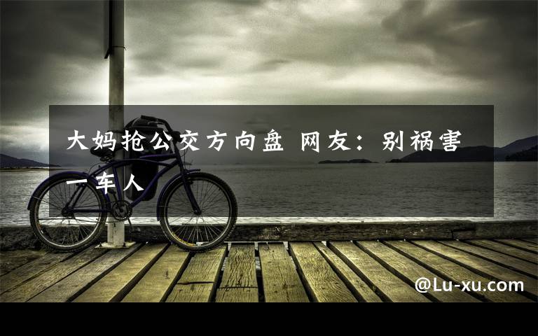 大妈抢公交方向盘 网友：别祸害一车人