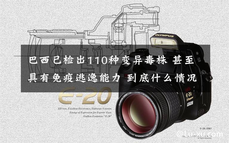 巴西已检出110种变异毒株 甚至具有免疫逃逸能力 到底什么情况呢？