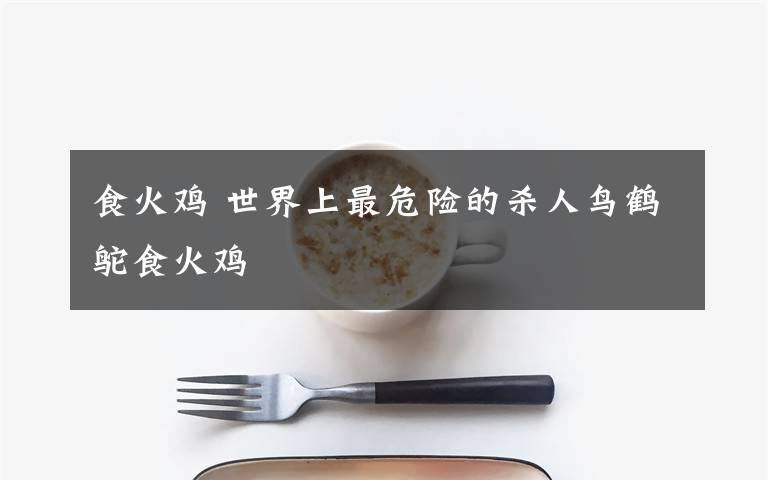 食火鸡 世界上最危险的杀人鸟鹤鸵食火鸡