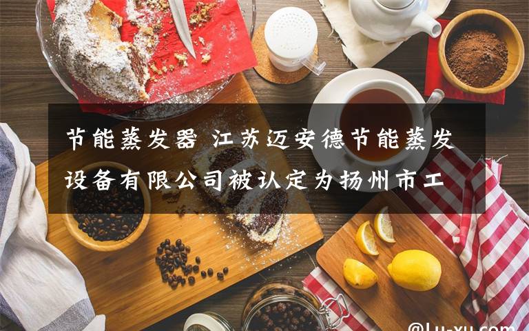节能蒸发器 江苏迈安德节能蒸发设备有限公司被认定为扬州市工程技术研究中心