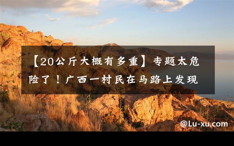 【20公斤大概有多重】专题太危险了！广西一村民在马路上发现4米长大蟒蛇，近20斤重