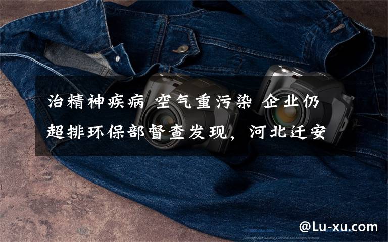 治精神疾病 空气重污染 企业仍超排环保部督查发现，河北迁安应急减排督导不力