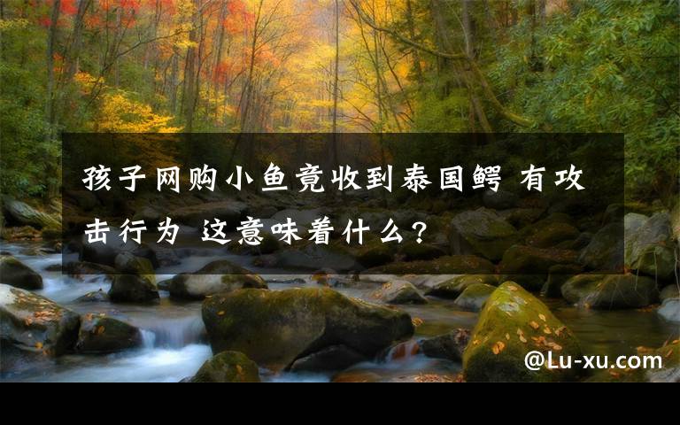 孩子网购小鱼竟收到泰国鳄 有攻击行为 这意味着什么?