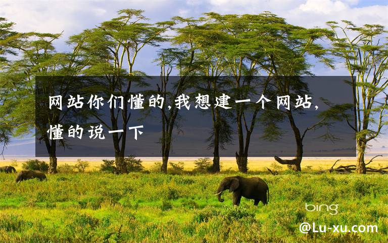 网站你们懂的,我想建一个网站,懂的说一下