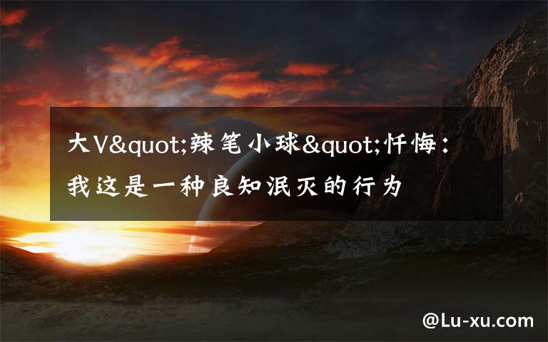 大V"辣笔小球"忏悔：我这是一种良知泯灭的行为