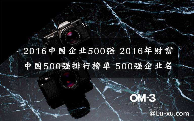 2016中国企业500强 2016年财富中国500强排行榜单 500强企业名单