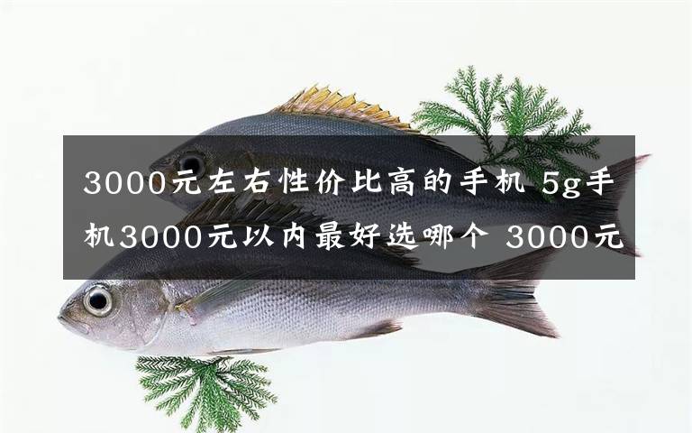 3000元左右性价比高的手机 5g手机3000元以内最好选哪个 3000元左右的5g手机推荐