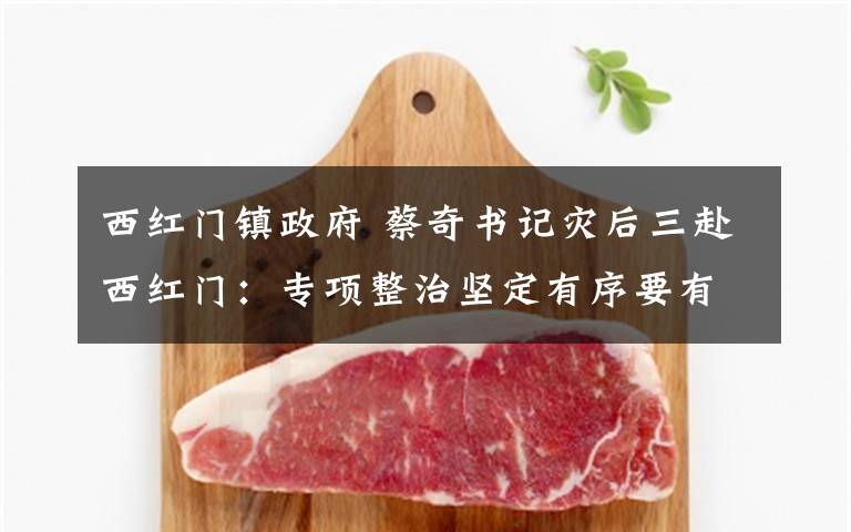 西红门镇政府 蔡奇书记灾后三赴西红门：专项整治坚定有序要有人文关怀
