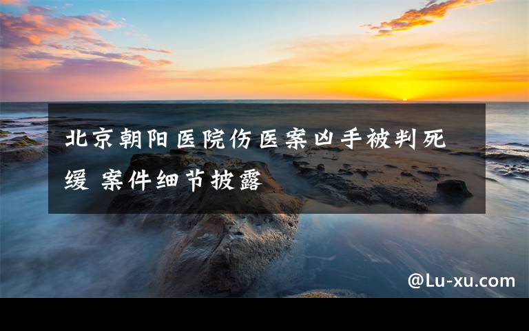 北京朝阳医院伤医案凶手被判死缓 案件细节披露
