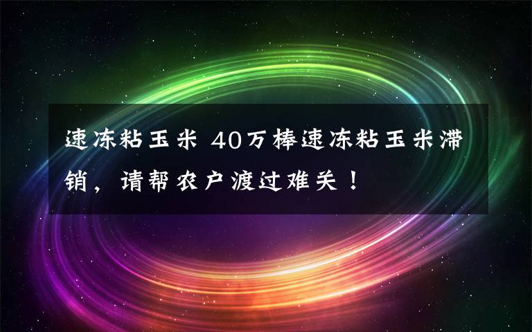 速冻粘玉米 40万棒速冻粘玉米滞销，请帮农户渡过难关！