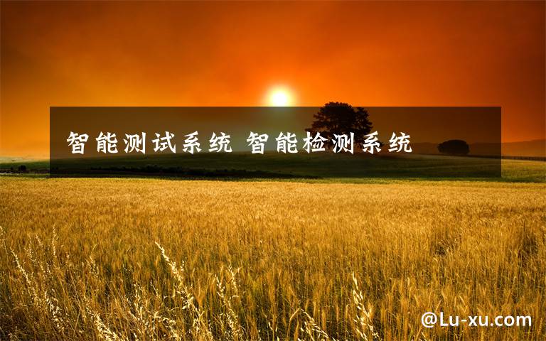 智能测试系统 智能检测系统