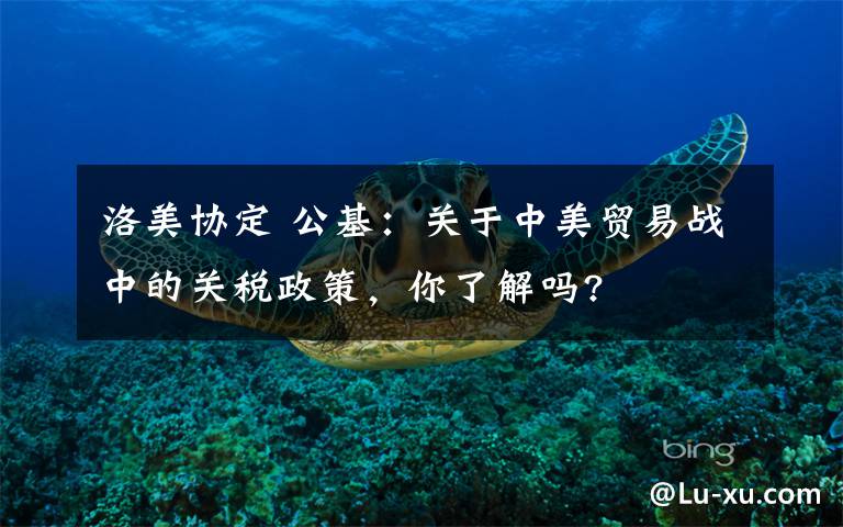 洛美协定 公基：关于中美贸易战中的关税政策，你了解吗?