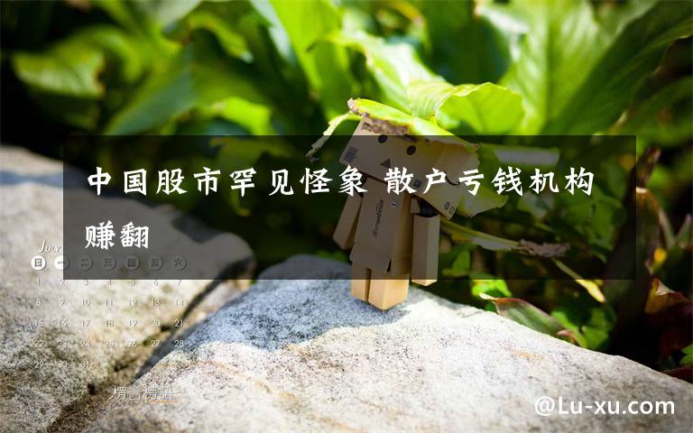 中国股市罕见怪象 散户亏钱机构赚翻