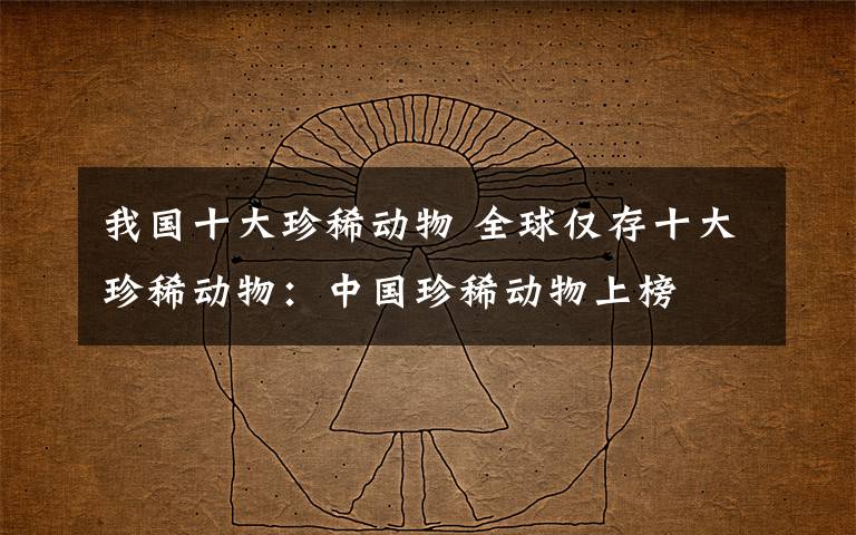 我国十大珍稀动物 全球仅存十大珍稀动物：中国珍稀动物上榜